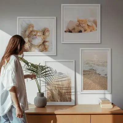 Galería de pared con animales lindos como gatos, perros y motivos de playa