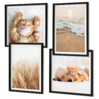 Galería de pared Animales lindos, gatos, perros, playa
