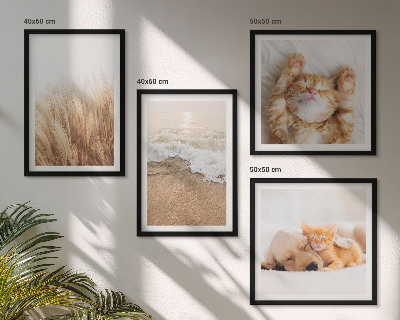 Galería de pared Animales lindos, gatos, perros, playa