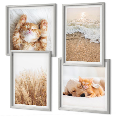 Galería de pared Animales lindos, gatos, perros, playa