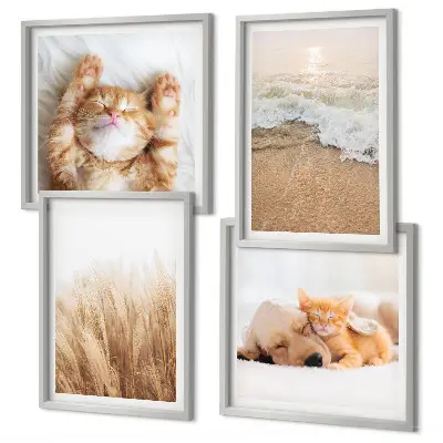 Galería de pared con animales lindos como gatos, perros y motivos de playa