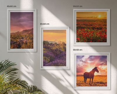 Set de cuadros modernos para salón Paisaje de montaña, caballo, lavanda