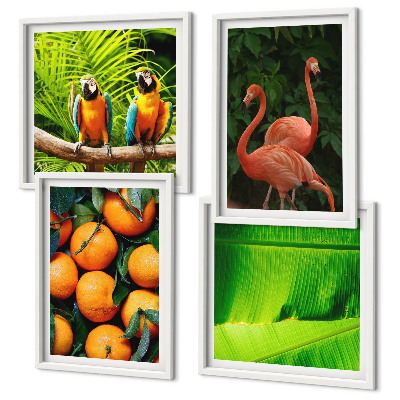 Galería de pared Toques frutales de los trópicos