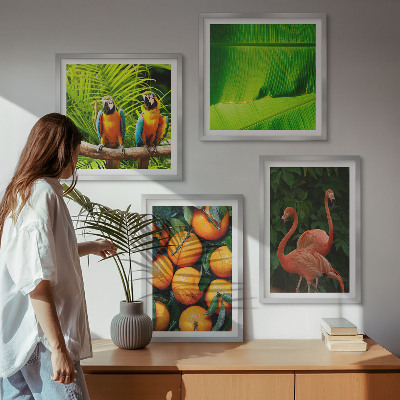 Galería de pared Toques frutales de los trópicos