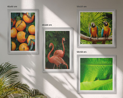Galería de pared Toques frutales de los trópicos