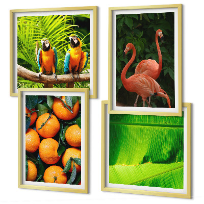 Galería de pared Toques frutales de los trópicos