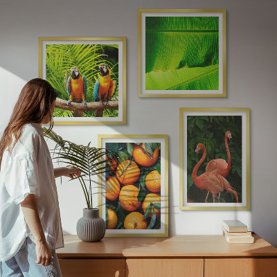 Galería de pared Toques frutales de los trópicos