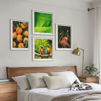 Galería de pared Toques frutales de los trópicos