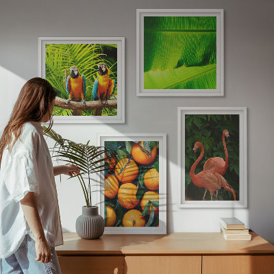 Galería de pared Toques frutales de los trópicos
