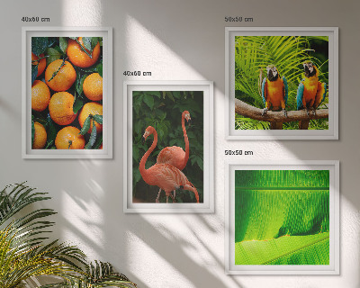 Galería de pared Toques frutales de los trópicos