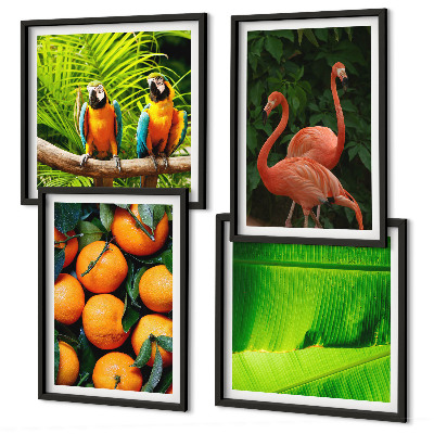 Galería de pared Toques frutales de los trópicos