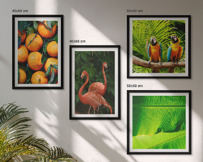 Galería de pared Toques frutales de los trópicos