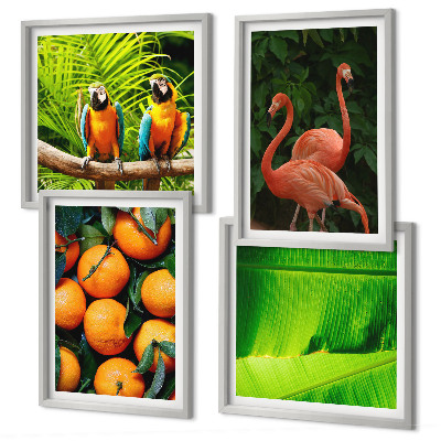 Galería de pared Toques frutales de los trópicos