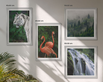 Set de cuadros modernos para salón Cascada del tigre flamencos naturaleza