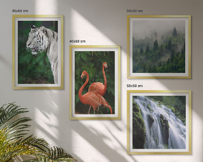 Set de cuadros modernos para salón Cascada del tigre flamencos naturaleza