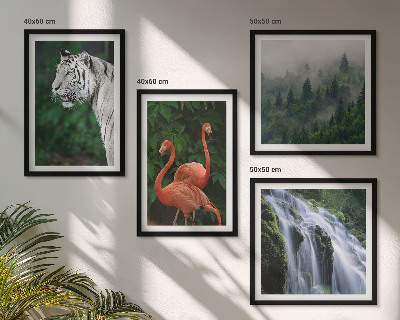 Set de cuadros modernos para salón Cascada del tigre flamencos naturaleza