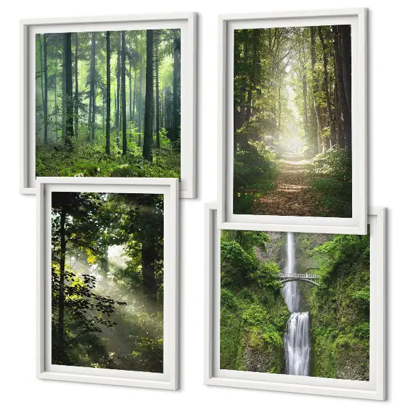 Galería de pared bosques verdes con rayos de luz