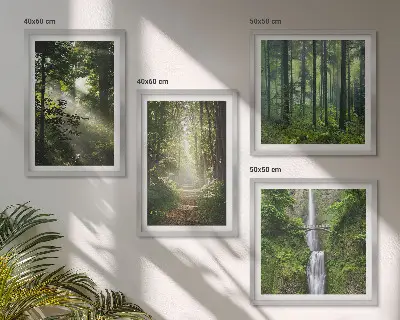 Galería de pared bosques verdes con rayos de luz