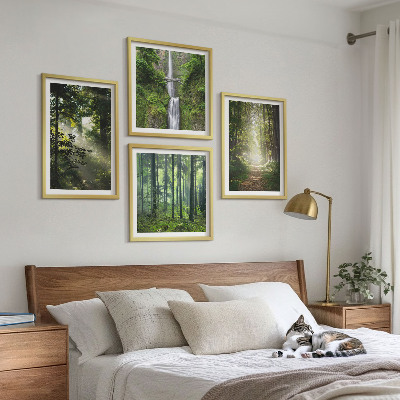 Galería de pared Bosques verdes rayos de luz