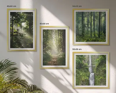 Galería de pared bosques verdes con rayos de luz