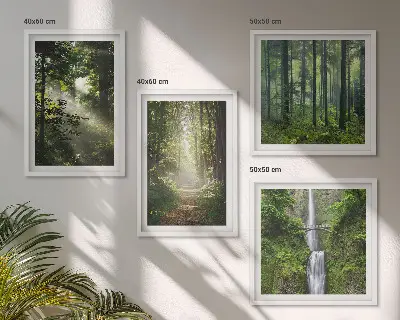 Galería de pared bosques verdes con rayos de luz