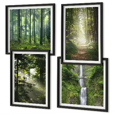 Galería de pared bosques verdes con rayos de luz