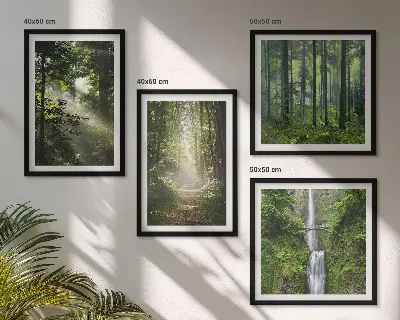 Galería de pared bosques verdes con rayos de luz