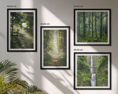 Galería de pared Bosques verdes rayos de luz