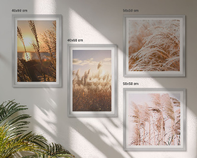 Set de cuadros modernos para salón atardecer bohemio en un campo de hierba