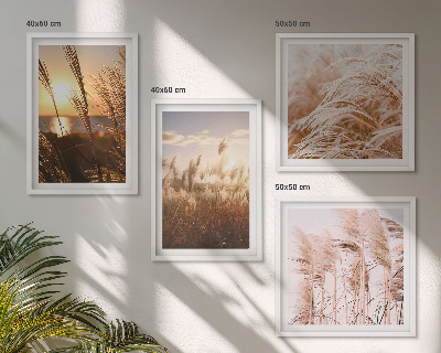Set de cuadros modernos para salón atardecer bohemio en un campo de hierba
