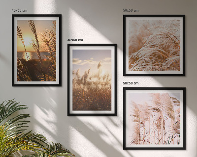Set de cuadros modernos para salón atardecer bohemio en un campo de hierba