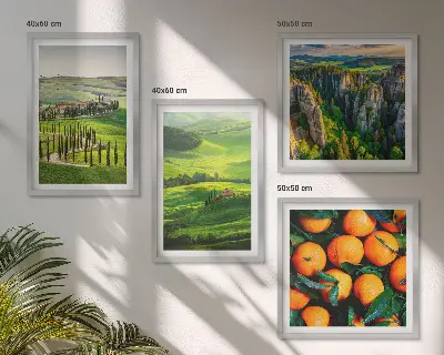 Galería de pared naranjas en un paisaje natural del campo italiano