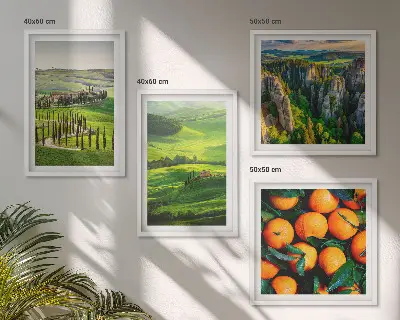 Galería de pared naranjas en un paisaje natural del campo italiano