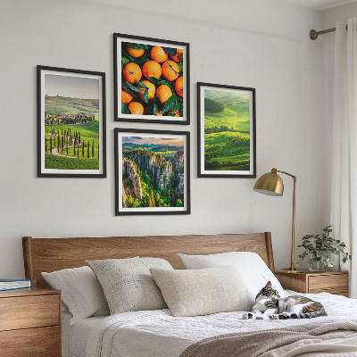 Galería de pared naranjas de la naturaleza del campo italiano