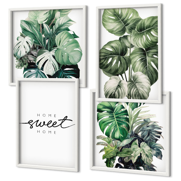 Galería de pared Plantas verdes para un dulce hogar