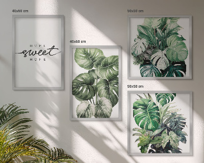 Galería de pared Plantas verdes para un dulce hogar