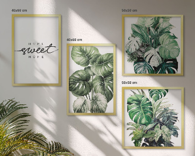 Galería de pared Plantas verdes para un dulce hogar