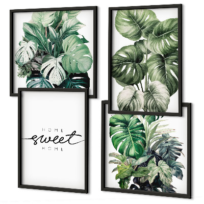 Galería de pared Plantas verdes para un dulce hogar
