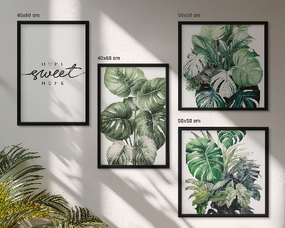 Galería de pared Plantas verdes para un dulce hogar