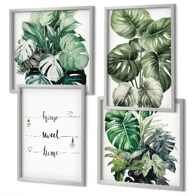 Set de 4 cuadros de hojas de monstera en acuarela decoración para salón