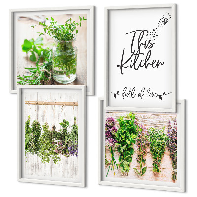 Galería de pared Plantas de hierbas para secar en la cocina