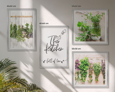 Galería de pared Plantas de hierbas para secar en la cocina