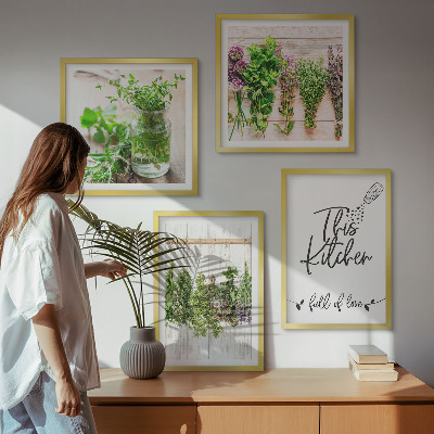 Galería de pared Plantas de hierbas para secar en la cocina