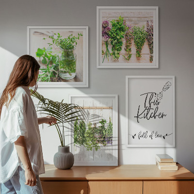 Galería de pared Plantas de hierbas para secar en la cocina