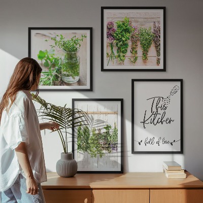 Galería de pared Plantas de hierbas para secar en la cocina