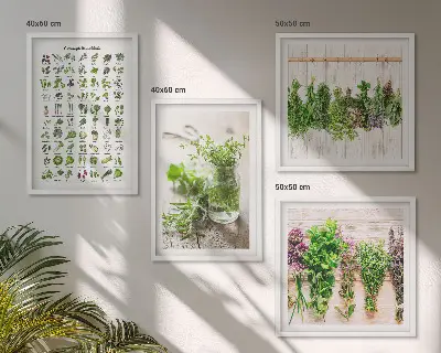 Set de cuadros modernos para salón con diseño de hierbas secas para la cocina