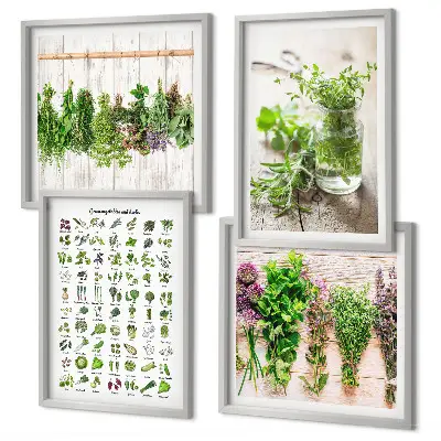 Set de cuadros modernos para salón con diseño de hierbas secas para la cocina