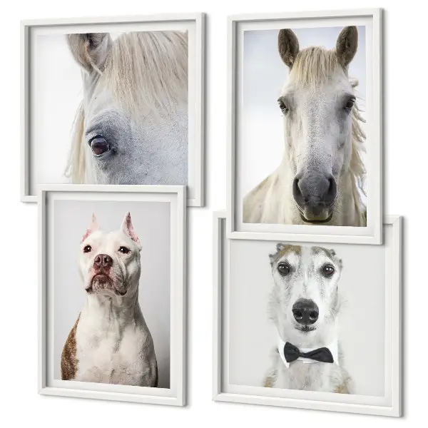 Set de 4 cuadros decorativos retratos elegantes de perros y caballos para salón