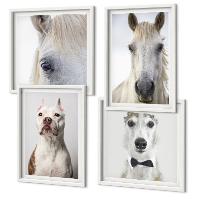 Set de 4 cuadros para salón Retratos de perros y caballos con elegancia