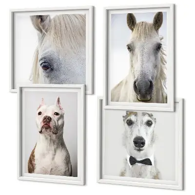 Set de 4 cuadros decorativos retratos elegantes de perros y caballos para salón